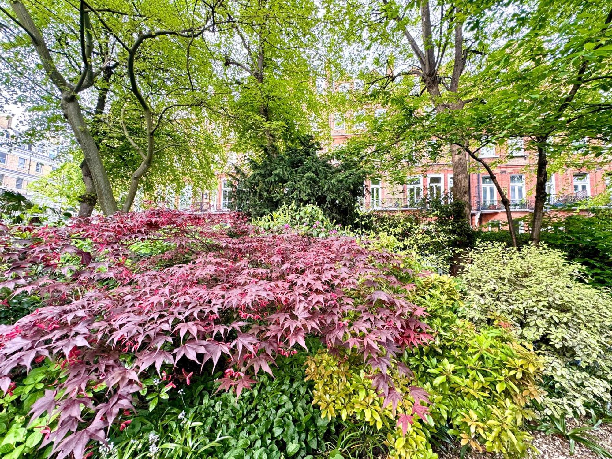 2 Bedroom Apartment In Central London South Kensington By Wild Londra Exterior foto